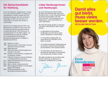 Spitzenkandidatenflyer (250 Stk.)